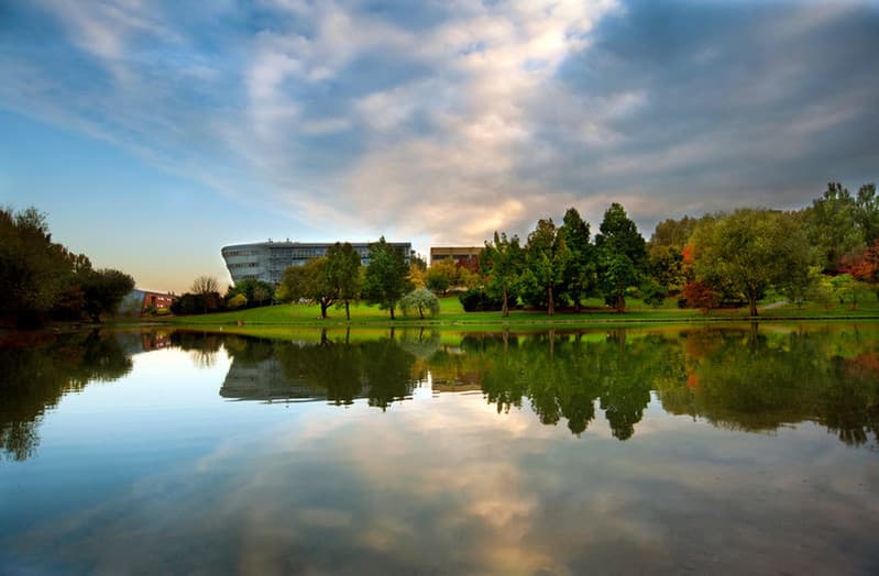 University of Surrey Background